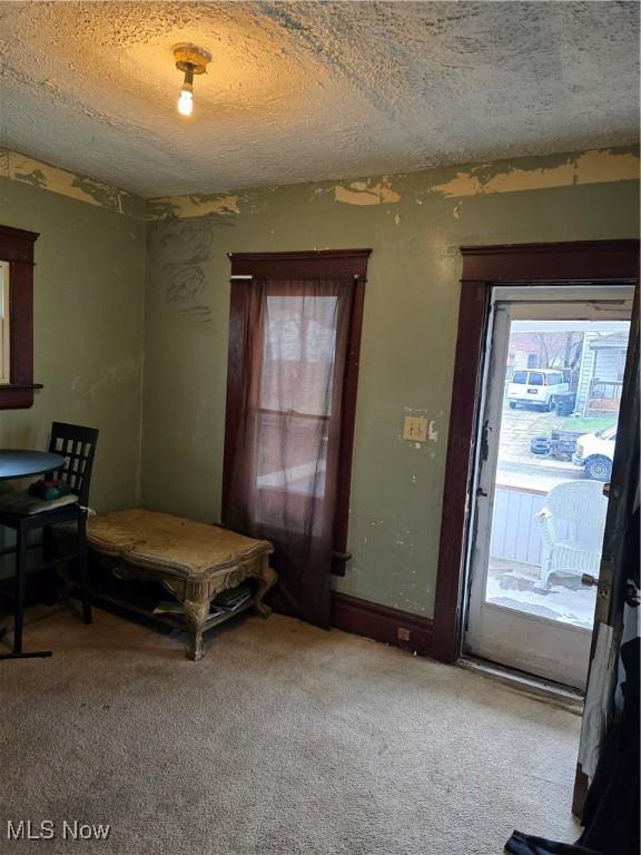 38 Royal Pl, Akron, OH 44310 - interior space with carpet flooring and a textured ceiling
