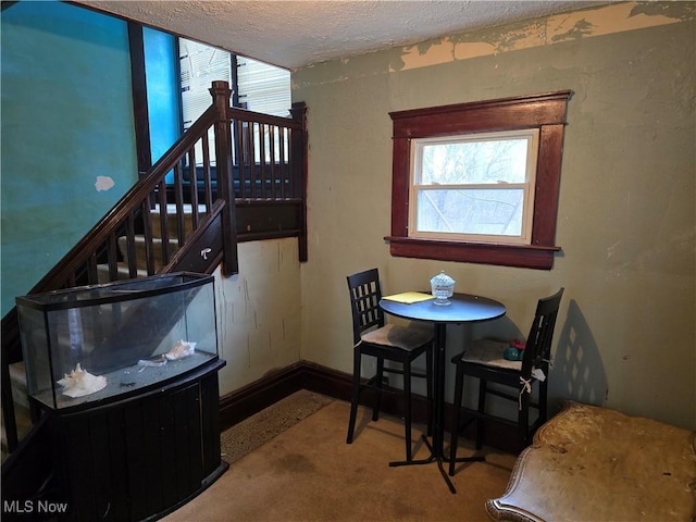38 Royal Pl, Akron, OH 44310 - dining room with carpet flooring, baseboards, and a textured ceiling