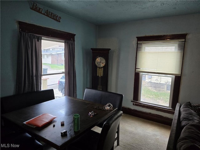 38 Royal Pl, Akron, OH 44310 - home office featuring baseboards, carpet floors, and a textured ceiling