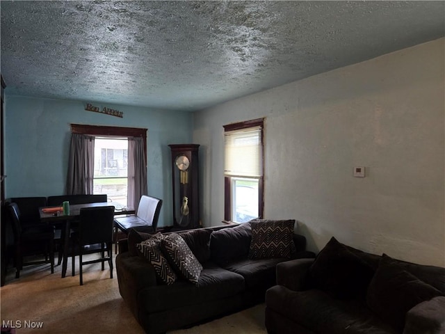 38 Royal Pl, Akron, OH 44310 - carpeted living area featuring a textured ceiling