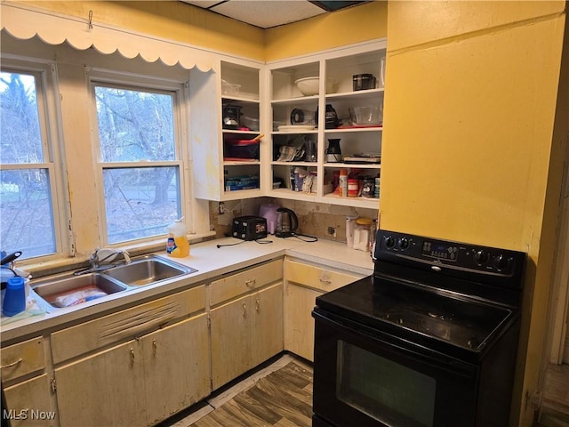 38 Royal Pl, Akron, OH 44310 - kitchen with light countertops, wood finished floors, black range with electric cooktop, a sink, and open shelves