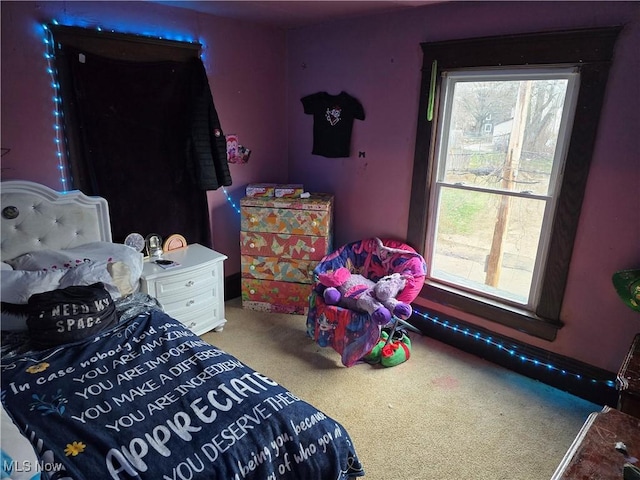 38 Royal Pl, Akron, OH 44310 - bedroom featuring multiple windows and carpet floors