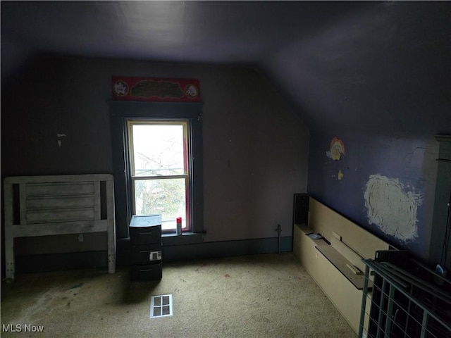 38 Royal Pl, Akron, OH 44310 - bonus room featuring visible vents, carpet, and vaulted ceiling