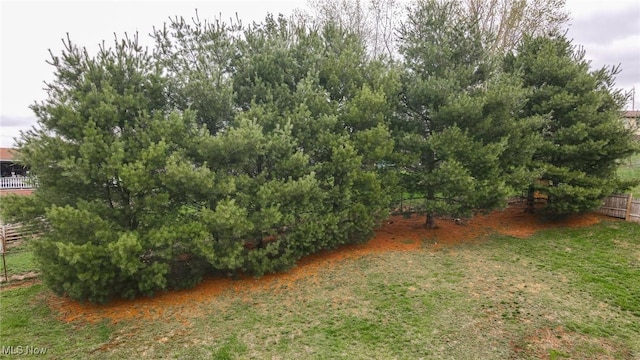 44 Hickory Dr, Little Hocking, OH 45742 - view of yard with fence