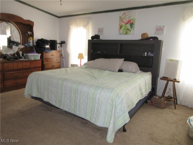 5372 Slater Rd, Williamsfield, OH 44093 - view of carpeted bedroom