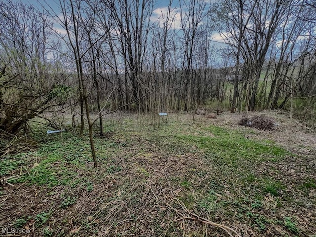 644 9th Ave, East Liverpool, OH 43920 - photo 4