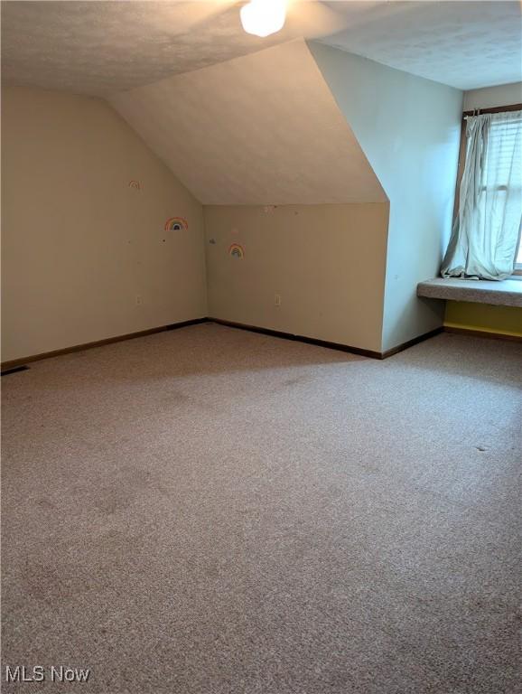 44790 County Road 23, Coshocton, OH 43812 - additional living space with carpet flooring, baseboards, vaulted ceiling, and a textured ceiling