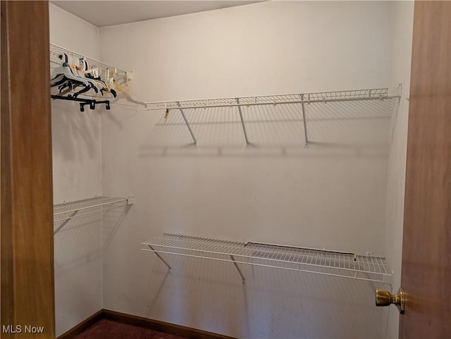 44790 County Road 23, Coshocton, OH 43812 - view of spacious closet