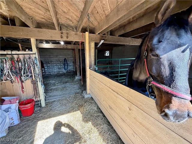 view of horse barn