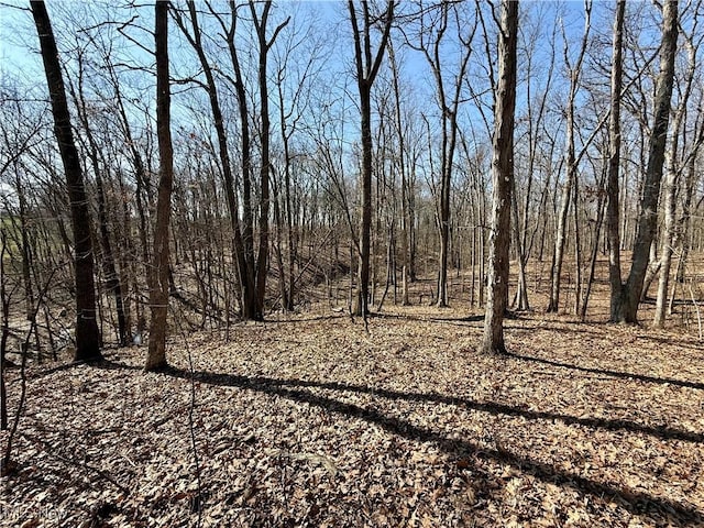 view of landscape