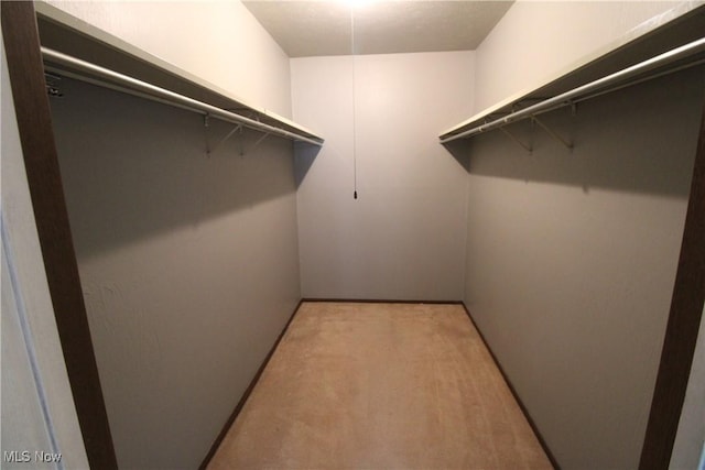 7073 Bristlewood Dr, Concord, OH 44077 - walk in closet featuring light colored carpet
