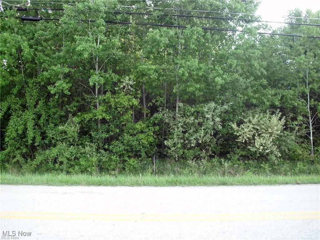 674 Rome Rock Creek Rd, Roaming Shores, OH 44084