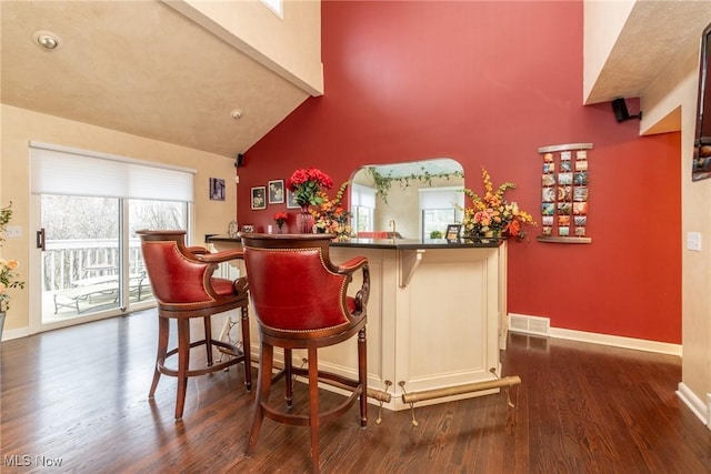 bar featuring baseboards, dark wood finished floors, and a healthy amount of sunlight