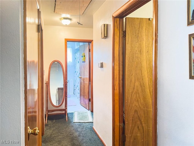 corridor with attic access and carpet flooring