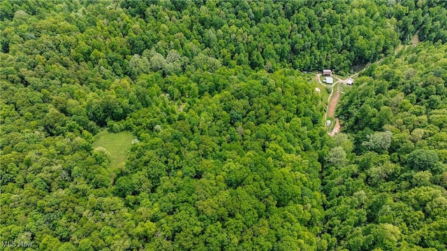 1000 Coon Fork Rd, Arnoldsburg, WV 25234 - aerial view of property and surrounding area with a forest