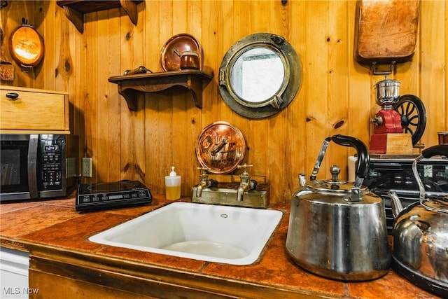 1000 Coon Fork Rd, Arnoldsburg, WV 25234 - kitchen view of wooden walls and dark countertops