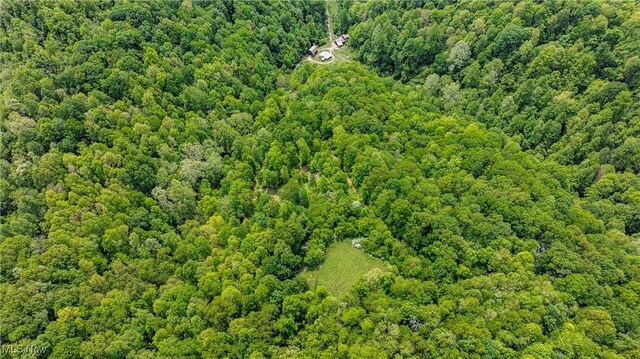 1000 Coon Fork Rd, Arnoldsburg, WV 25234 - bird's eye view of a forest