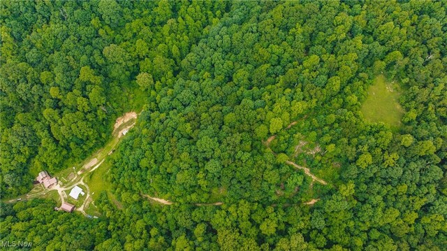 1000 Coon Fork Rd, Arnoldsburg, WV 25234 - aerial view of property and surrounding area