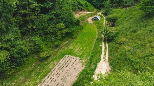 1000 Coon Fork Rd, Arnoldsburg, WV 25234 - aerial view of sparsely populated area