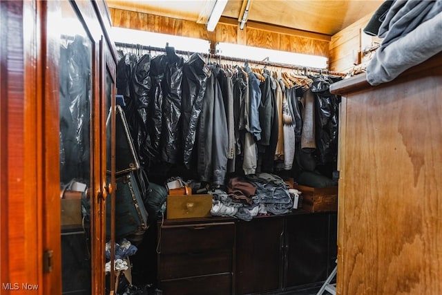 1000 Coon Fork Rd, Arnoldsburg, WV 25234 - view of walk in closet
