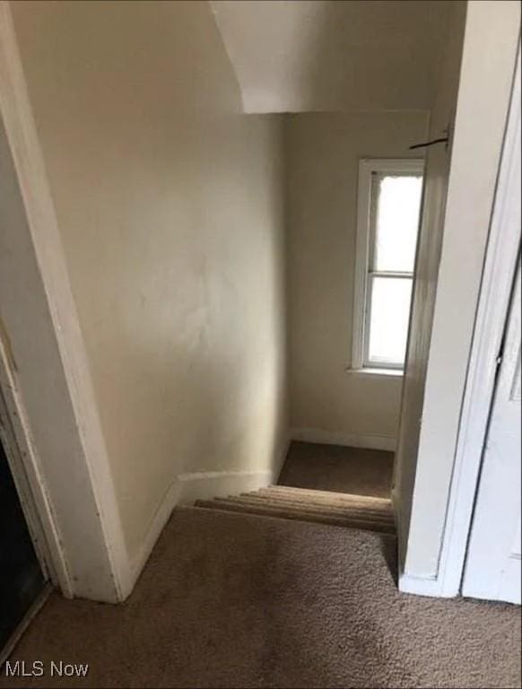 1444 E 135th St, East Cleveland, OH 44112 - stairs with carpet floors and baseboards