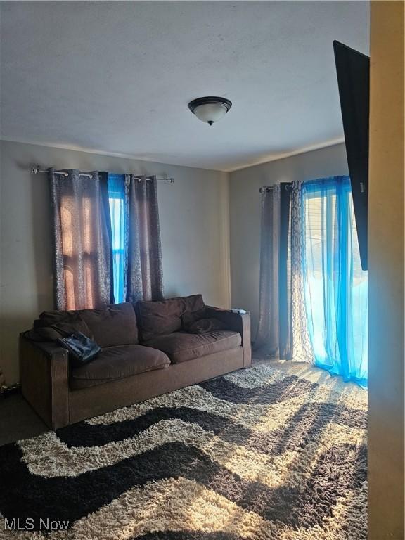 living room with carpet