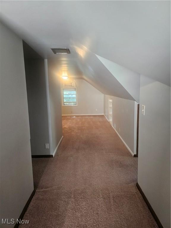 25100 Drakefield Ave, Euclid, OH 44132 - additional living space featuring carpet flooring and vaulted ceiling