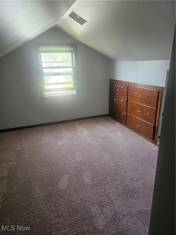 25100 Drakefield Ave, Euclid, OH 44132 - bonus room featuring lofted ceiling and carpet flooring