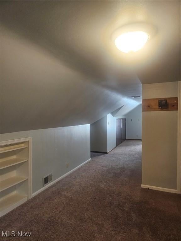 25100 Drakefield Ave, Euclid, OH 44132 - bonus room featuring carpet flooring, vaulted ceiling, and built in features