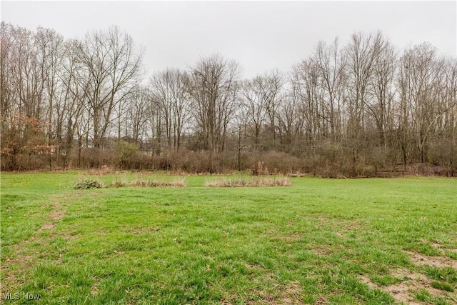 2955 Noel Dr, Youngstown, OH 44509 - view of yard