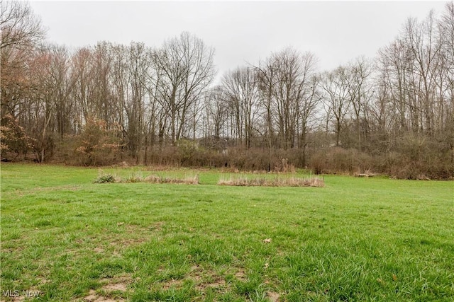 2955 Noel Dr, Youngstown, OH 44509 - view of yard