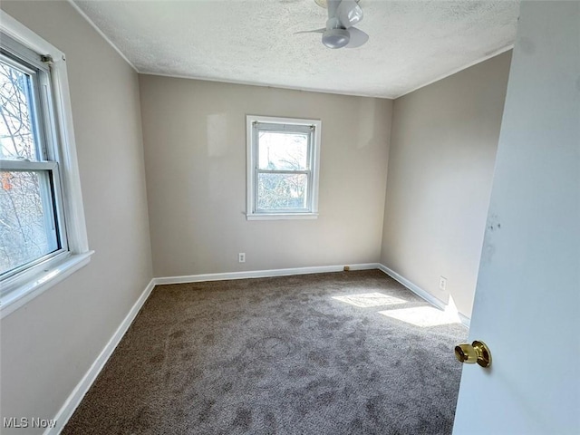 2106 17th St SW, Akron, OH 44314 - spare room featuring carpet, baseboards, a textured ceiling, and a wealth of natural light