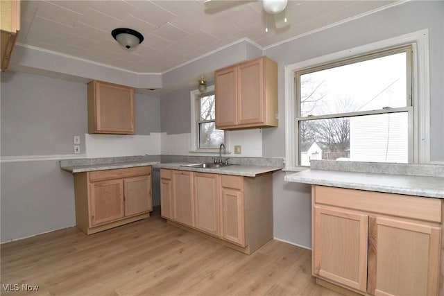 1118 Hartford Ave, Akron, OH 44320 - kitchen with light countertops, a ceiling fan, light brown cabinets, a sink, and light wood-style floors