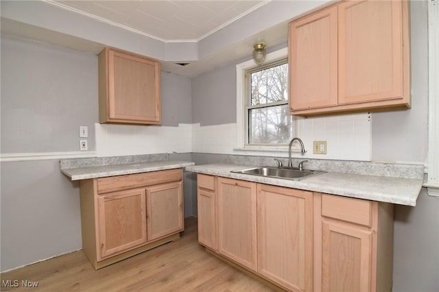1118 Hartford Ave, Akron, OH 44320 - kitchen featuring a sink, light brown cabinetry, and light wood-type flooring