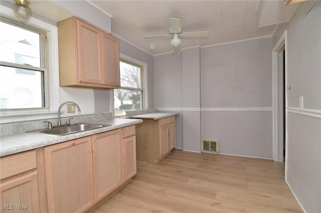 1118 Hartford Ave, Akron, OH 44320 - kitchen with crown molding, light wood finished floors, a ceiling fan, light brown cabinets, and a sink
