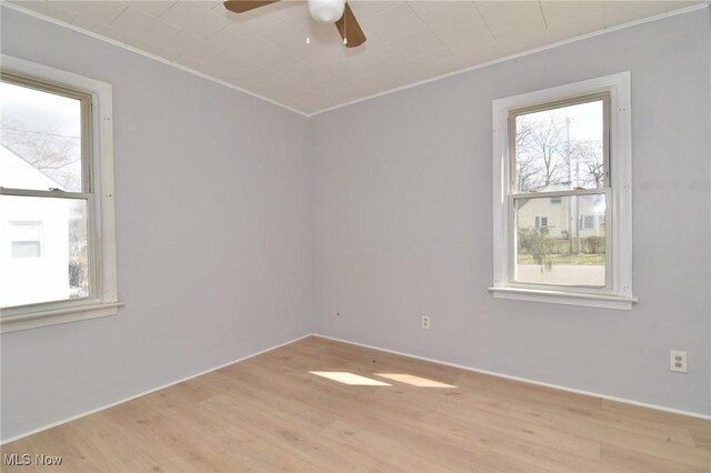 1118 Hartford Ave, Akron, OH 44320 - empty room featuring crown molding, light wood finished floors, and ceiling fan