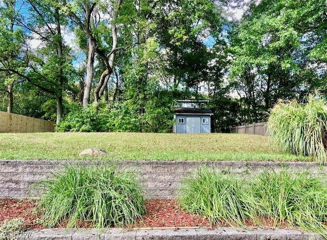 view of yard featuring an outbuilding, a storage unit, and fence