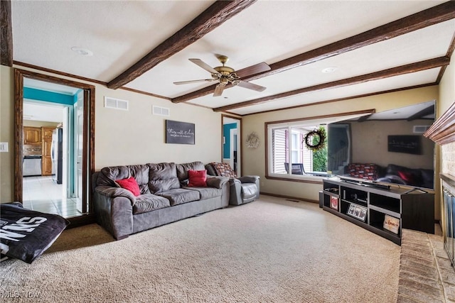 carpeted living area featuring ornamental molding, beamed ceiling, a ceiling fan, and visible vents