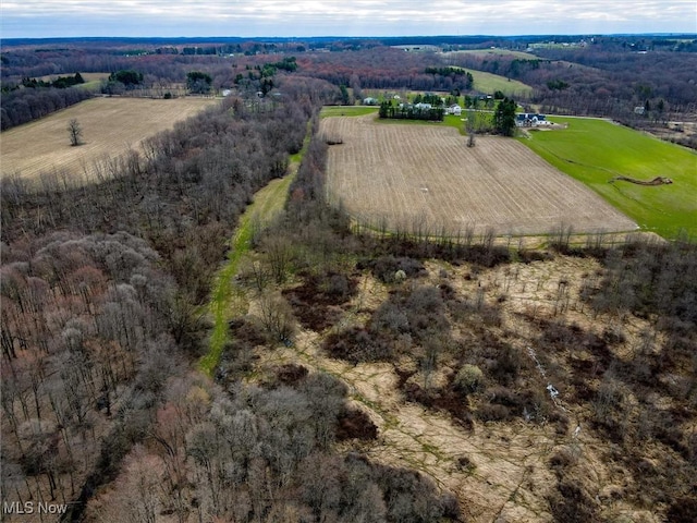 Taylor Wells Rd, Chardon, OH 44024 - photo 15