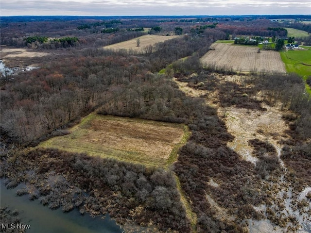 Taylor Wells Rd, Chardon, OH 44024 - photo 17