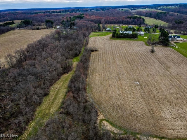 Taylor Wells Rd, Chardon, OH 44024 - photo 20
