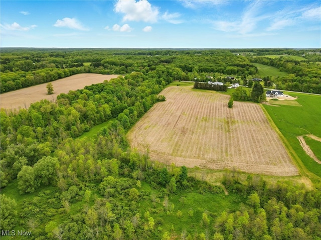 Taylor Wells Rd, Chardon, OH 44024 - photo 6