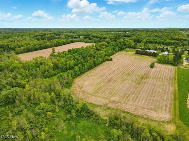 Taylor Wells Rd, Chardon, OH 44024 - photo 7