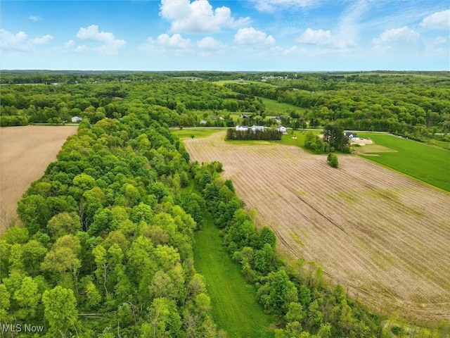 Taylor Wells Rd, Chardon, OH 44024 - photo 9