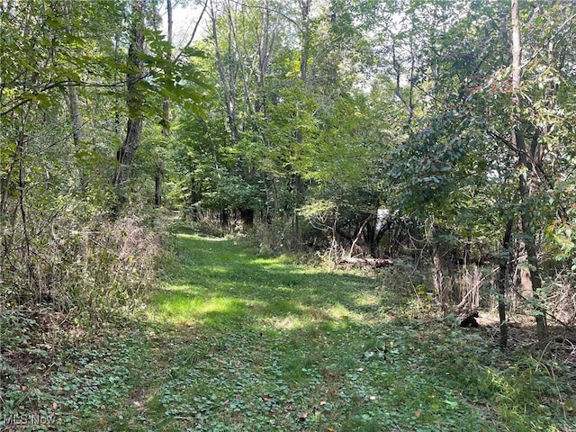 2807 Columbus Rd NE, Canton, OH 44705 - photo 2