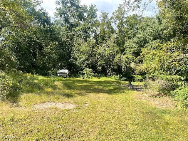 2807 Columbus Rd NE, Canton, OH 44705 - photo 5