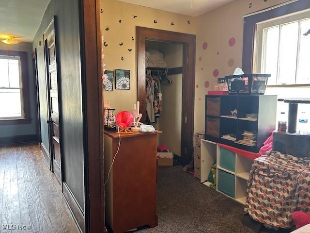 interior space featuring wood finished floors and a closet
