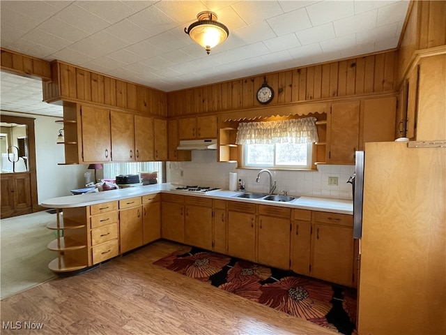 23314 Frostyville Rd, Caldwell, OH 43724 - kitchen featuring freestanding refrigerator, under cabinet range hood, a sink, and open shelves