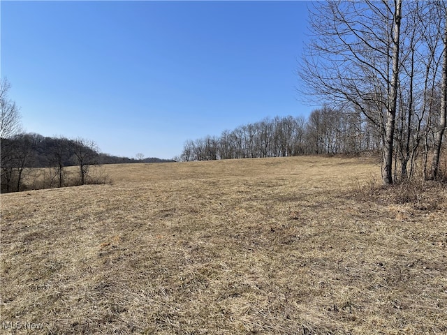 23314 Frostyville Rd, Caldwell, OH 43724 - view of yard featuring a rural view