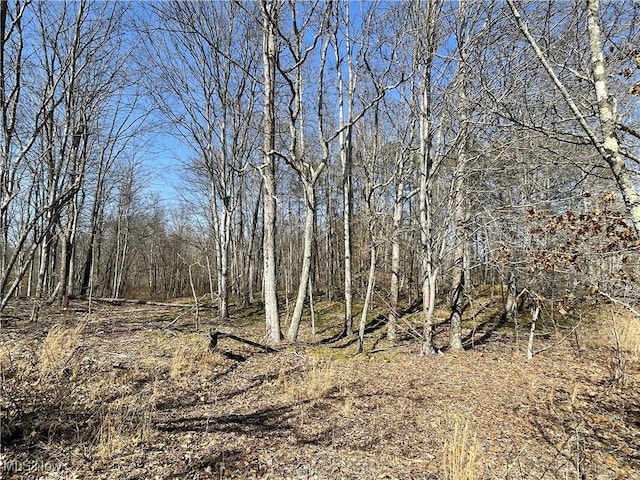 23314 Frostyville Rd, Caldwell, OH 43724 - view of nature